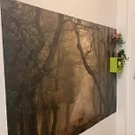 Bed & Breakfast Bucarest B&B