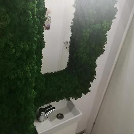 Oda ve Kahvaltı Bucarest B&B Bükreş