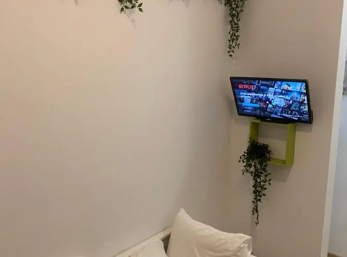 Bed & Breakfast Bucarest B&B Bucharest