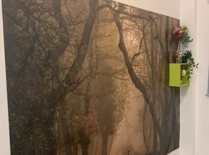 Couette-café Bucarest B&B