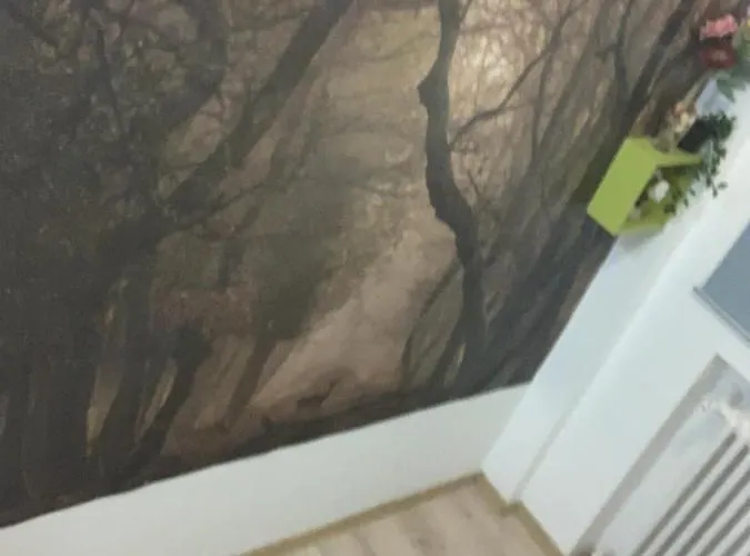 Bucarest B&B Nocleg ze śniadaniem *