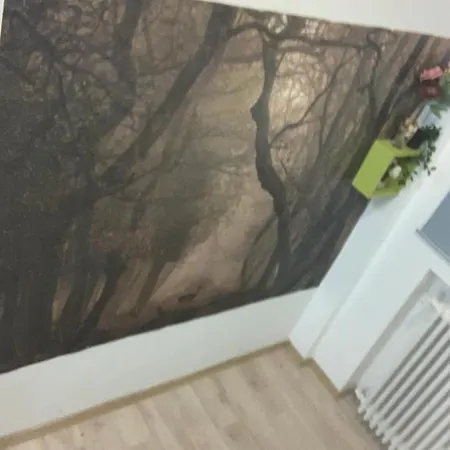 Bucarest B&B ベッド・アンド・ブレックファスト *