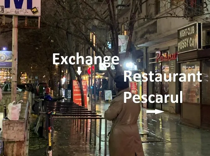 Bucarest B&B Oda ve Kahvaltı Bükreş