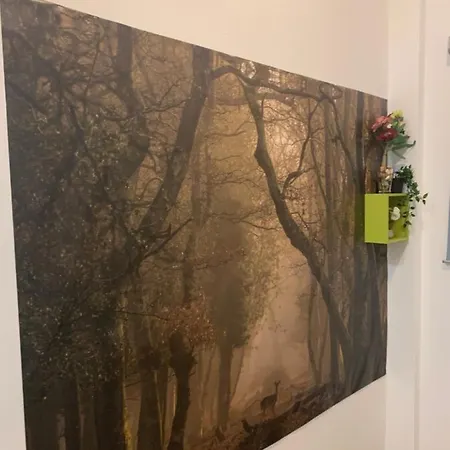 Frühstückspension Bucarest B&B